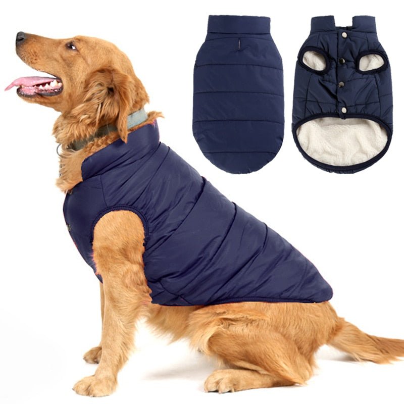 Colete Pet Steve™ | Roupa Para Cachorro